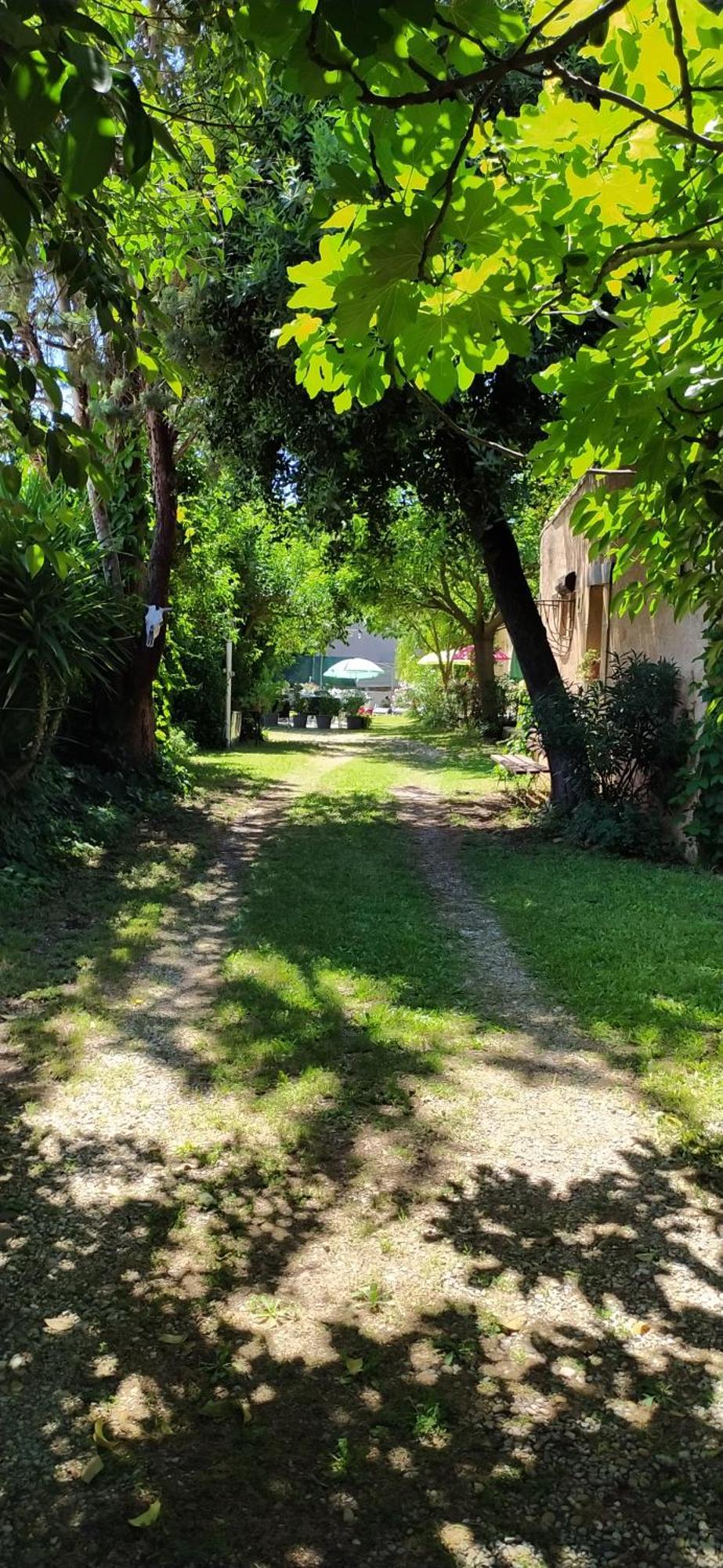 Abrivado Aimargues En Petite Camargue 아파트 외부 사진